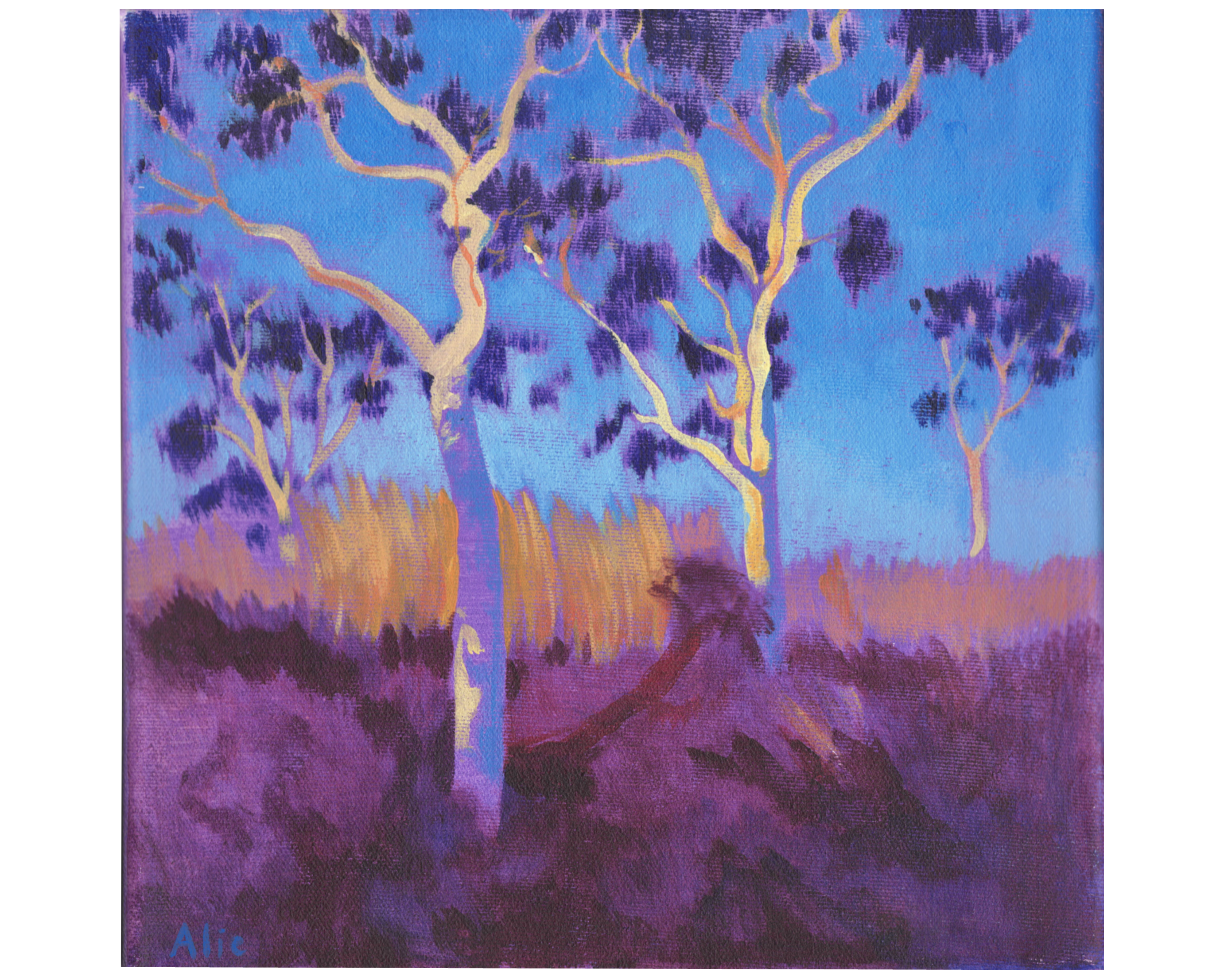 Aube lilac